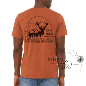 Surefooted as a Deer - Image 9