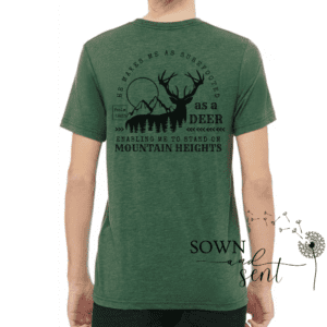 Surefooted as a Deer - Image 3