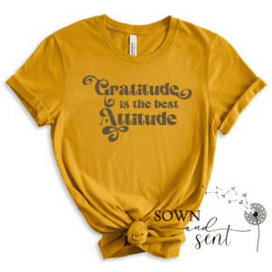 Gratitude is the Best Attitude - Image 3