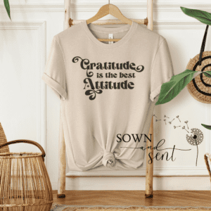 Gratitude is the Best Attitude - Image 5
